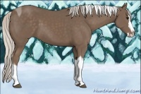 Horse Color:Silver Black Sabino Splash Tobiano Rabicano 