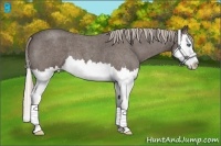 Horse Color:Silver Blue Roan Splash