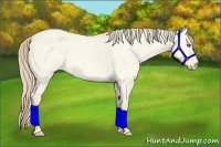 Horse Color:Perlino Roan Dun 