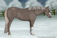 Horse Color:Silver Black 