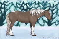 Horse Color:Silver Black Tobiano 