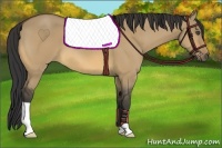 Horse Color:Buckskin Dun 