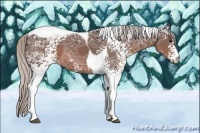 Horse Color:White Spotted Silver Brown Ice Tobiano 