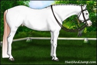Horse Color:White Spotted Bay Frame Snowcap 