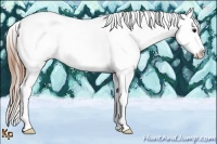 Horse Color:Buckskin Roan Tobiano Varnish Rabicano