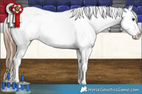Horse Color:Bay Frame Appaloosa Rabicano 