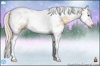 Horse Color:Silver Amber Champagne Ice Dun Splash Tobiano Frame 