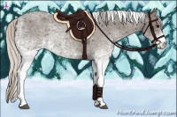 Horse Color:White Spotted Silver Blue Roan Tobiano