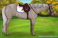 Horse Color:Silver Blue Roan