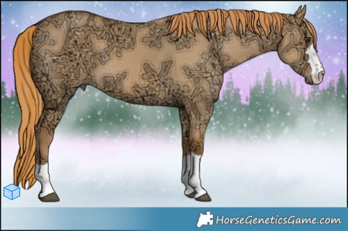 Horse Color:Red Dun Ice 