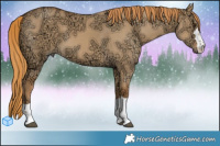 Horse Color:Red Dun Ice 