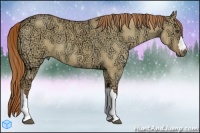 Horse Color:Red Dun Ice 