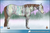 Horse Color:Liver Chestnut Ice 
