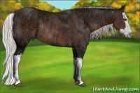 Horse Color:Silver Brown Ice Splash Rabicano  Brindle