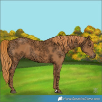Horse Color:Chestnut Ice 