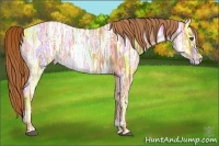 Horse Color:Chestnut Ice 