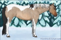 Horse Color:Bay Roan Dun Tobiano