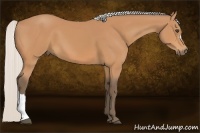 Horse Color:Silver Bay 