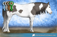 Horse Color:Smoky Grullo Splash Tobiano Rabicano
