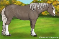 Horse Color:Silver Black 
