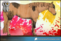 Horse Color:Buckskin Ice Brindle