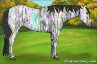 Horse Color:Black Ice  Brindle