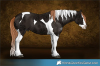 Horse Color:Liver Chestnut Ice Splash Tobiano 