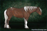 Horse Color:Silver Bay Tobiano
