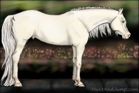 Horse Color:Silver Amber Cream Champagne Pearl Dun 