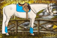 Horse Color:Silver Sable Cream Champagne Pearl 