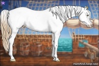 Horse Color:Gold Champagne Pearl Appaloosa 