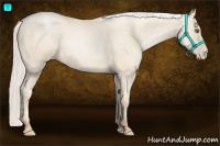 Horse Color:Silver Amber Cream Champagne Pearl 