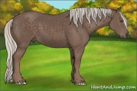 Horse Color:Silver Black 