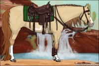 Horse Color:Red Dun Roan Splash Frame Rabicano 