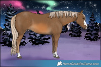 Horse Color:Chocolate Palomino 