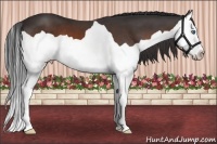 Horse Color:Brown Splash