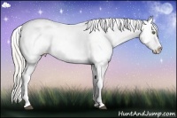 Horse Color:White Spotted Silver Grullo Roan Pearl Splash Frame Varnish Rabicano 