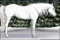 Horse Color:Silver Bay Pearl Appaloosa 