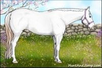 Horse Color:Smoky Black Splash Appaloosa