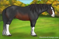 Horse Color:Brown Splash 