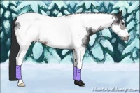 Horse Color:Brown Sabino Tobiano Frame 