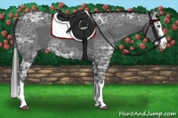 Horse Color:Smoky Black Ice Sabino Splash Rabicano 