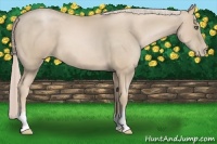 Horse Color:Palomino Pearl