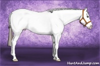 Horse Color:Liver Red Roan Varnish 