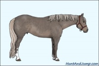 Horse Color:Silver Black Sabino