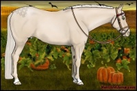 Horse Color:Palomino Pearl