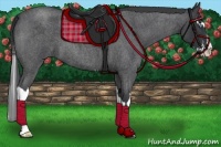 Horse Color:Blue Roan Splash Frame 