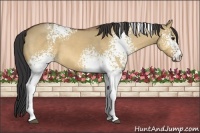 Horse Color:White Spotted Bay Dun 