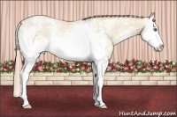 Horse Color:White Spotted Smoky Grullo Pearl Splash