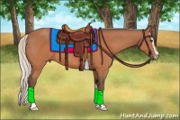 Horse Color:Silver Bay Sabino 